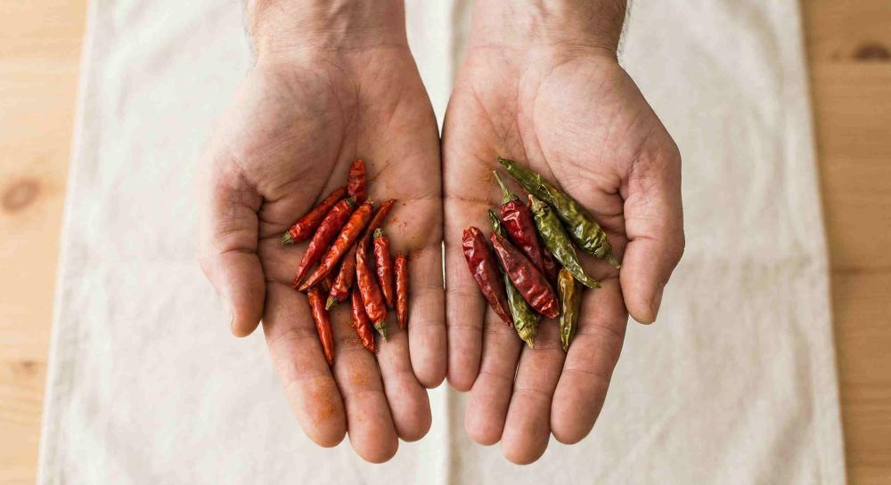 hands gently cupping a small heap of cayennepeppers in one hand and regular chillippers in the other hand.