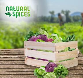 6X Wintergroenten, Welke kruiden gebruik jij?