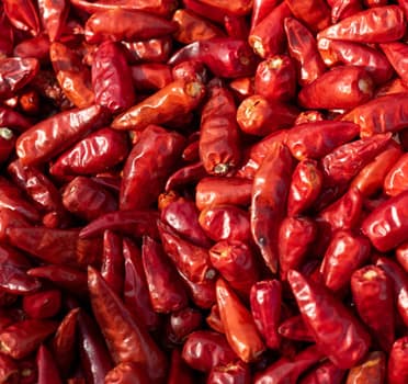 Portugese pittigheid: wat is piri piri?